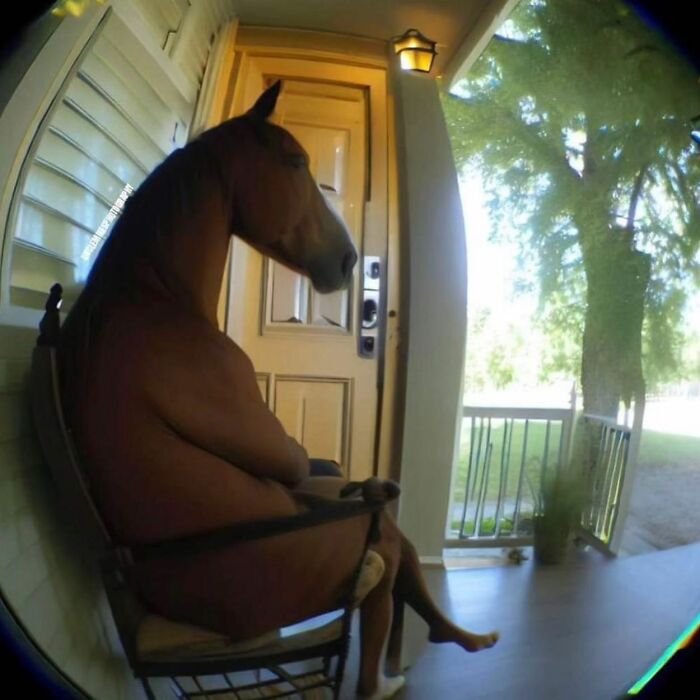 From Bad Decisions To Bizarre Timing, Here Are 40 Cursed Images That Defy Explanation