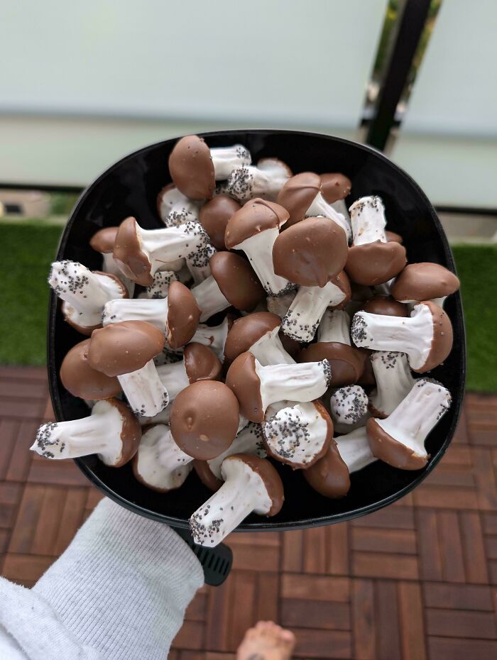 Dulces de repostería en forma de champiñones cubiertos de chocolate en un plato negro sostenido a mano.