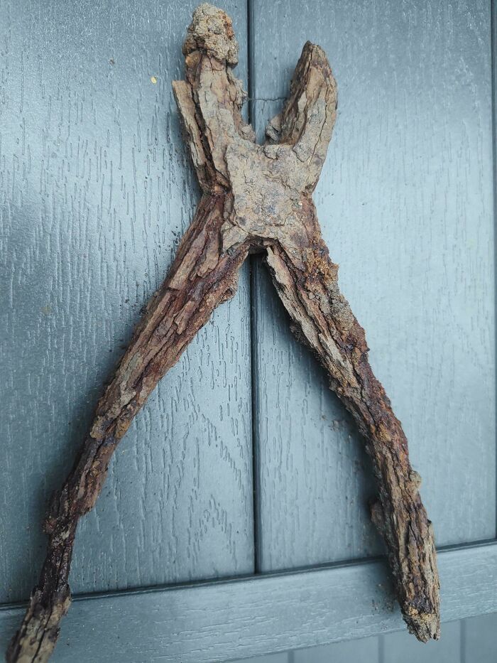 Encontré estos alicates oxidados en el patio, parecen de madera