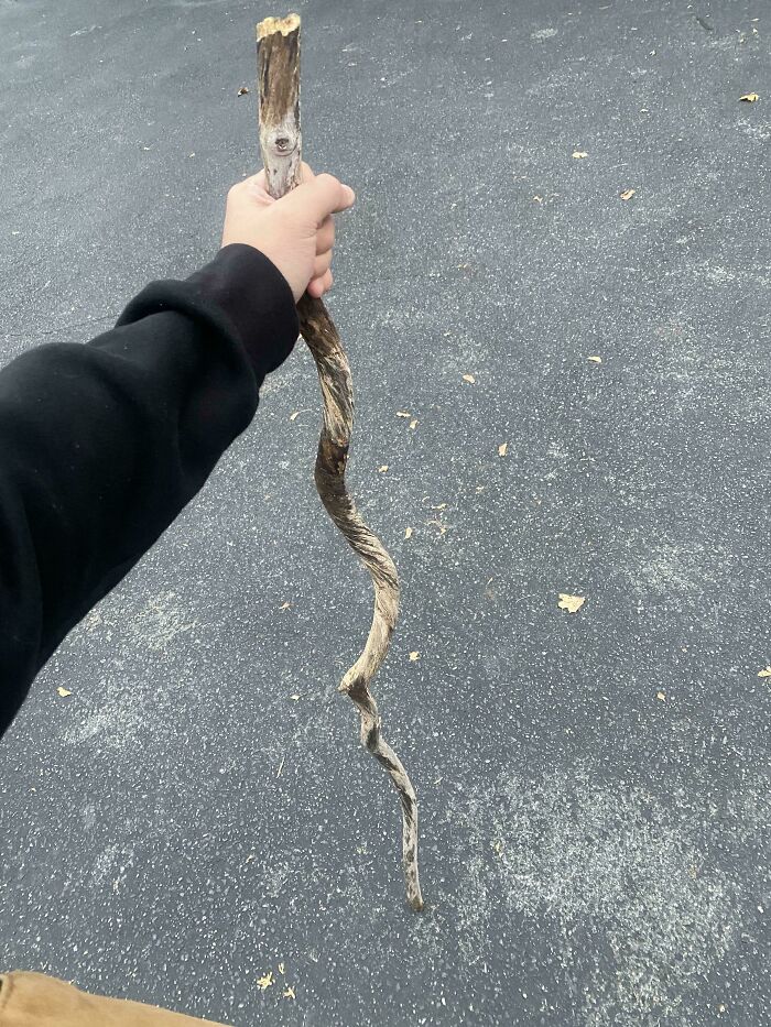 Este palo parece un bastón de mago