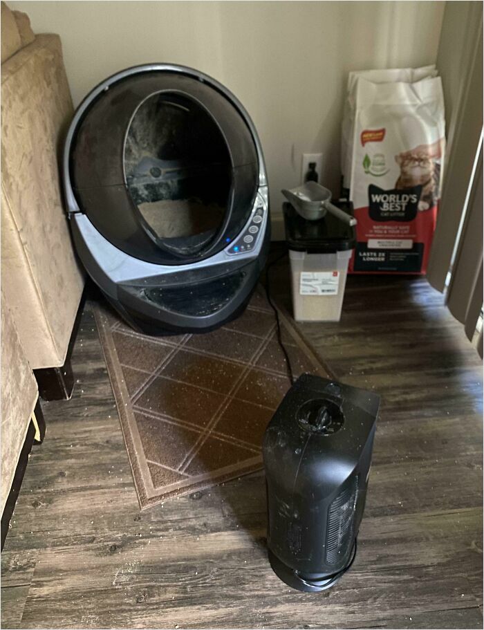 La compañera de piso utiliza un purificador de aire 24/7 en lugar de limpiar la arena de su gato. Toda la casa huele a caca de gato