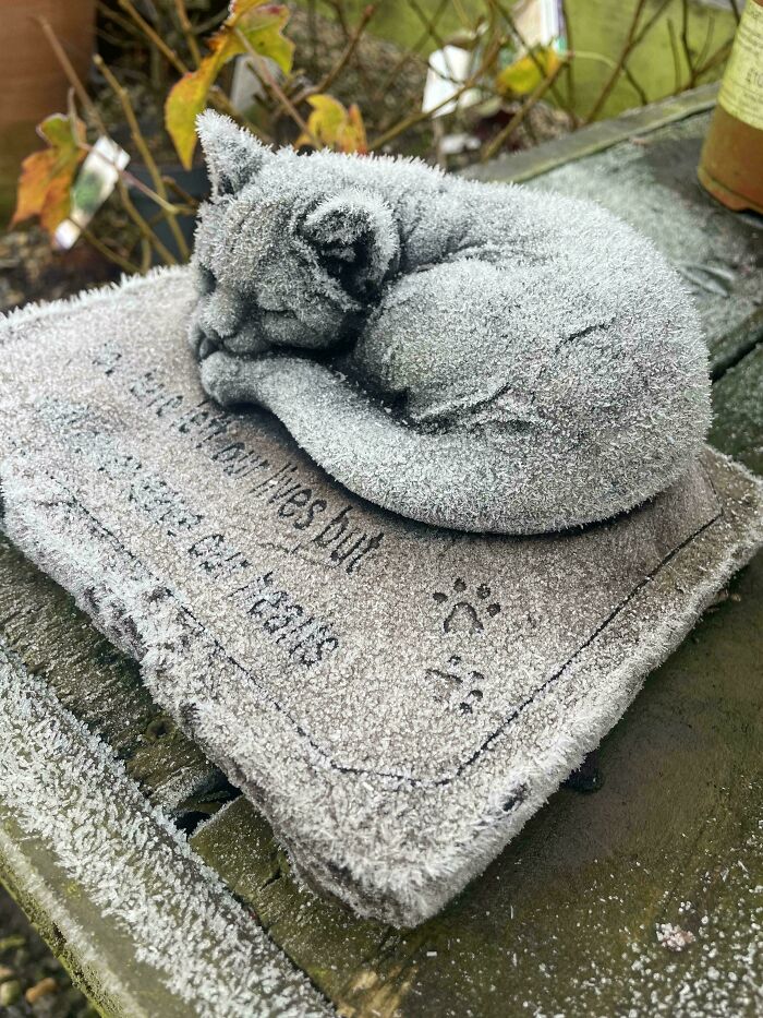 La escarcha en esta estatua parece pelaje