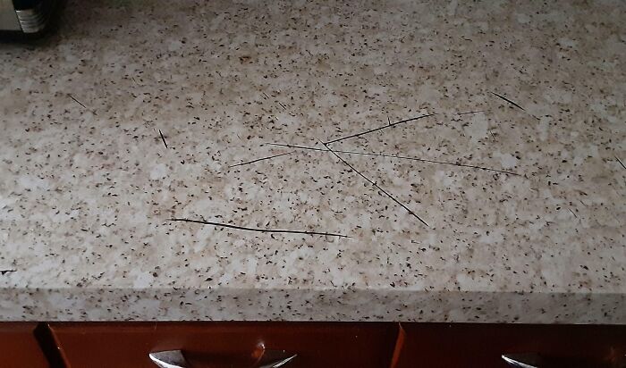 Hace 3 semanas cambié la cubierta de vinilo de la encimera porque mi compañero de piso la estropeó cortando cosas directamente en la encimera. Le pedí que por favor no lo hiciera más. Esto es hoy