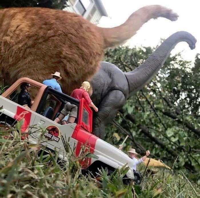 Dinosaurios