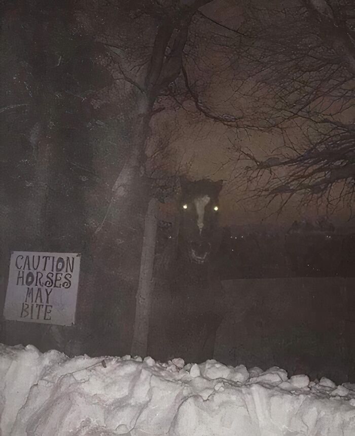 From Bad Decisions To Bizarre Timing, Here Are 40 Cursed Images That Defy Explanation