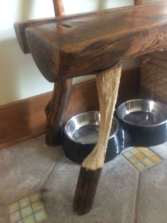 El gato de mi padre ha estado arañando la misma pata de este banco durante la última década.