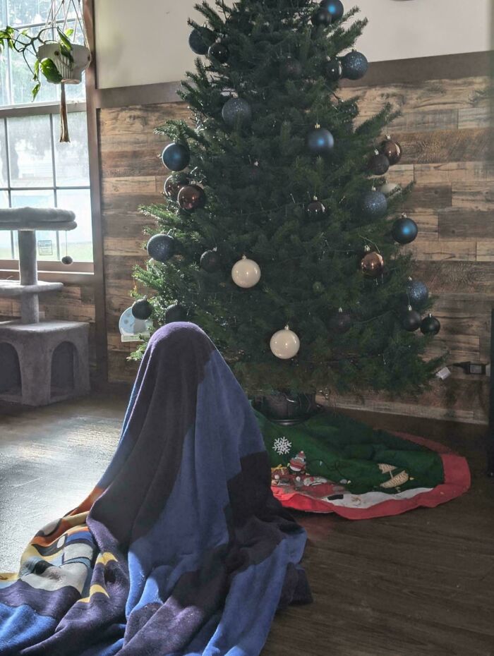 Niño cubierto con manta junto a árbol de Navidad, capturando tonterías divertidas de los niños.