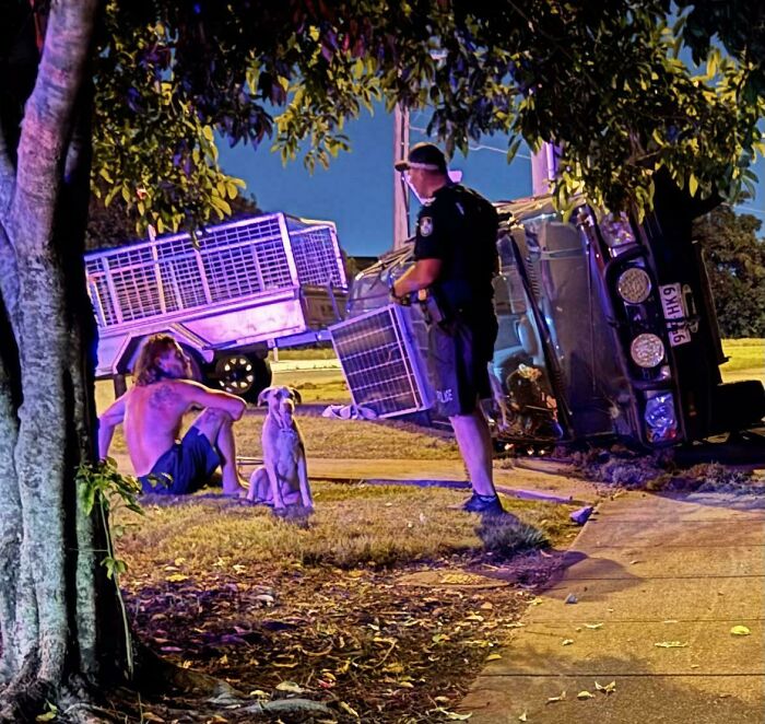 Policía interactúa con un hombre al lado de un auto volcado en Australia, con un perro presente.
