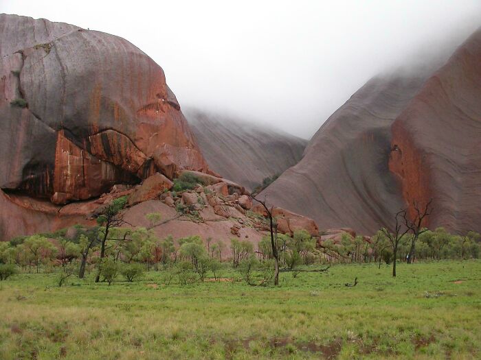Formaciones rocosas de Australia con vegetación y niebla en el fondo.