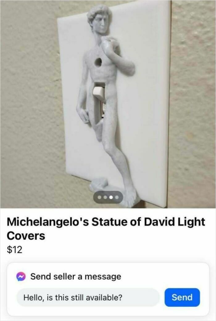 Cubierta de interruptor con estatua rara de David vendida en Facebook Marketplace, parte de cosas raras encontradas.