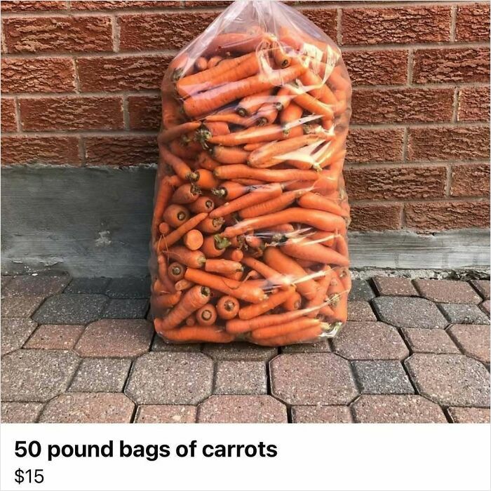 Bolsa grande de zanahorias a la venta, ejemplo de cosas raras encontradas en Facebook Marketplace.
