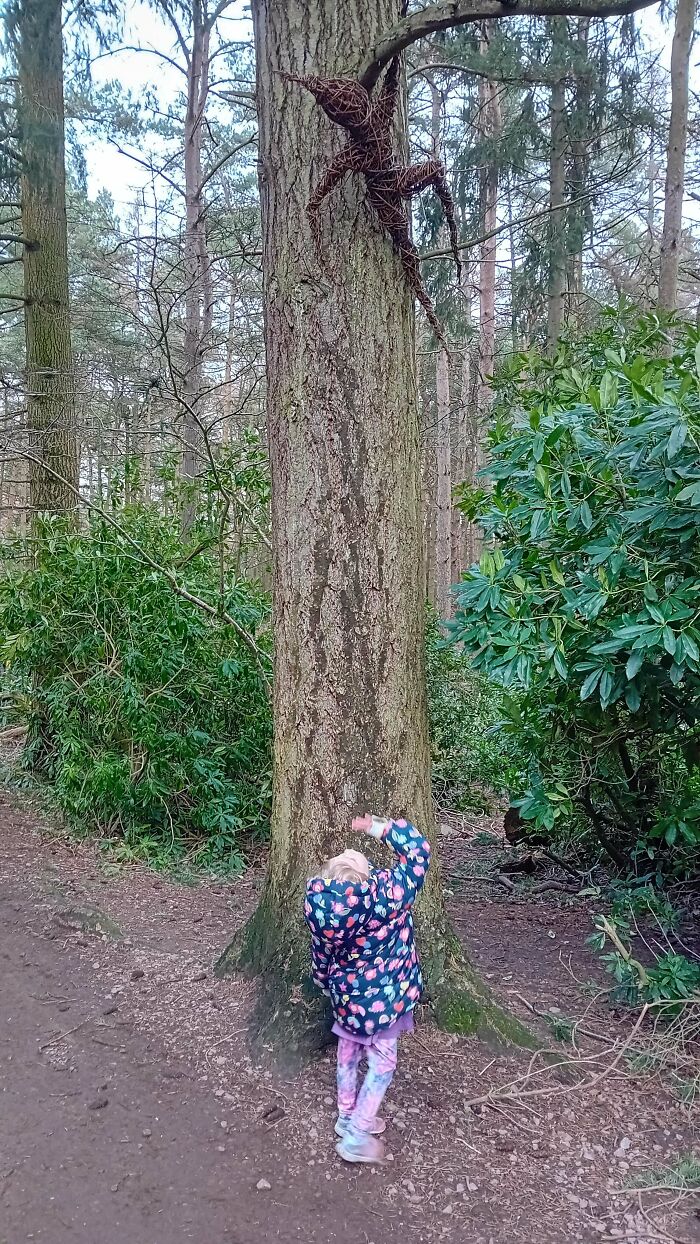 Niña observando escultura de ramas en un árbol en el bosque, escena extrañamente aterradora.