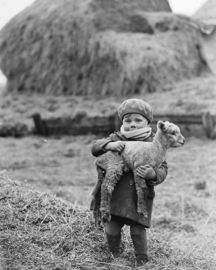 Niño cargando con un corderito en Escocia, 1932