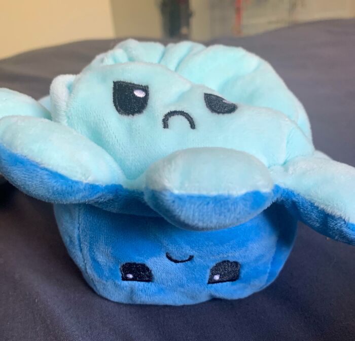 Pedí un pulpo triste y feliz, ambos lados vinieron tristes