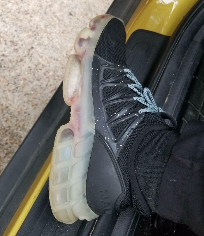 El zapato tiene agujeros en la suela de plástico que permite que el agua pase entre el estirofoma y el plástico. El resultado es una placa de petri móvil