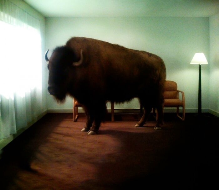 From Bad Decisions To Bizarre Timing, Here Are 40 Cursed Images That Defy Explanation
