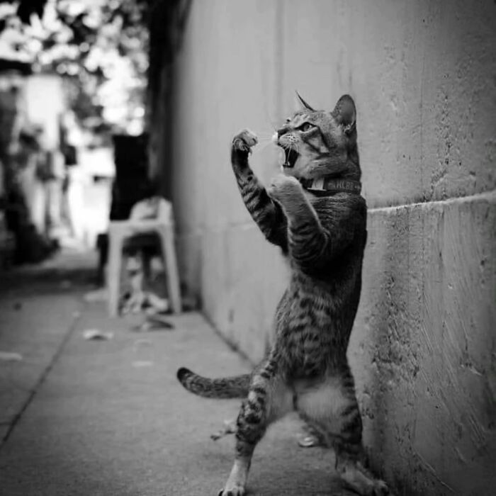 40 Captivating Street Shots Curated By "Pure Street Photography"