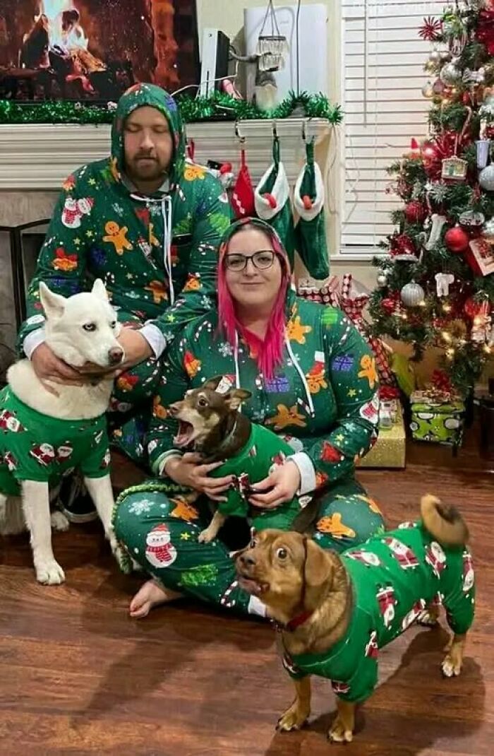 Ningún perro fue obligado a hacerse esta foto