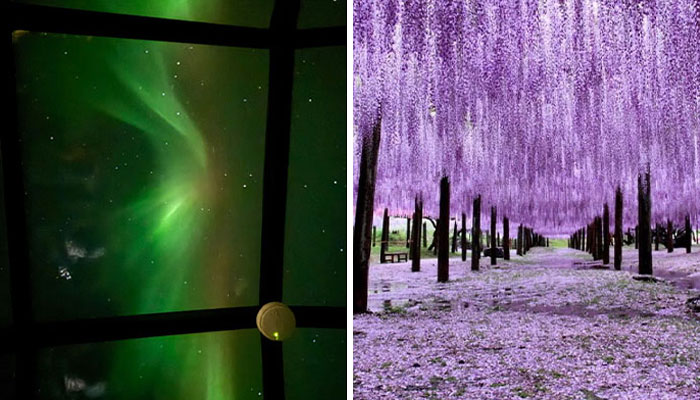 32 Imágenes sorprendentes con un toque de surrealismo
