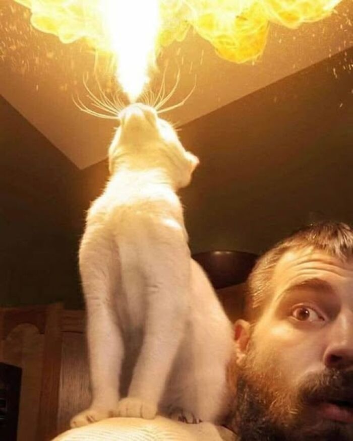 Gato blanco aparece escupiendo fuego mientras está sobre el hombro de un hombre sorprendido, creando una imagen rara.