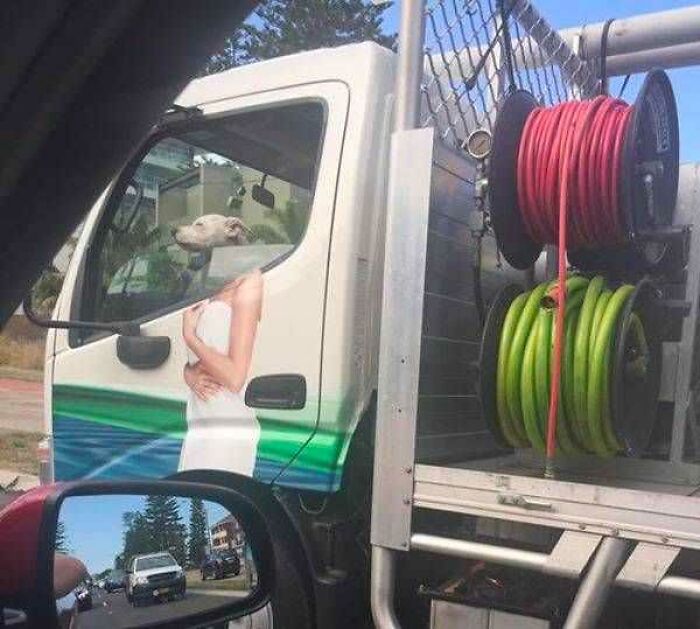 Camión con imagen rara donde cabeza de perro se alinea con el cuerpo de una persona en la puerta.