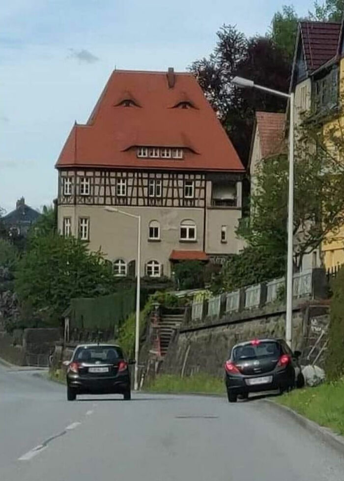 ¿Dientes o ventanas?