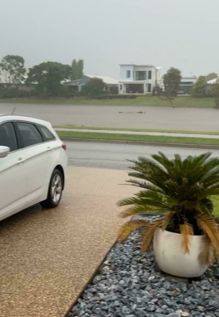 Paisaje urbano en Australia con coche blanco y maceta, día nublado.