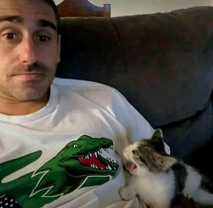 Hombre en sofá con camiseta de cocodrilo y gato pequeño que parece morder la camiseta en imagen divertida y viral.