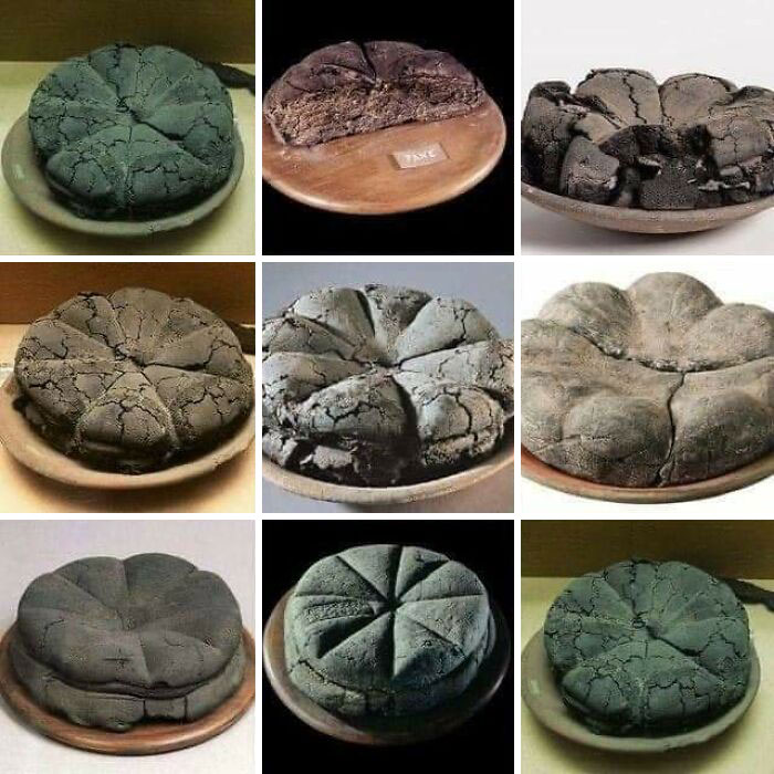 Diversos panes antiguos quemados, hallazgos fascinantes que revelan secretos del pasado lejano, dispuestos en una cuadrícula.
