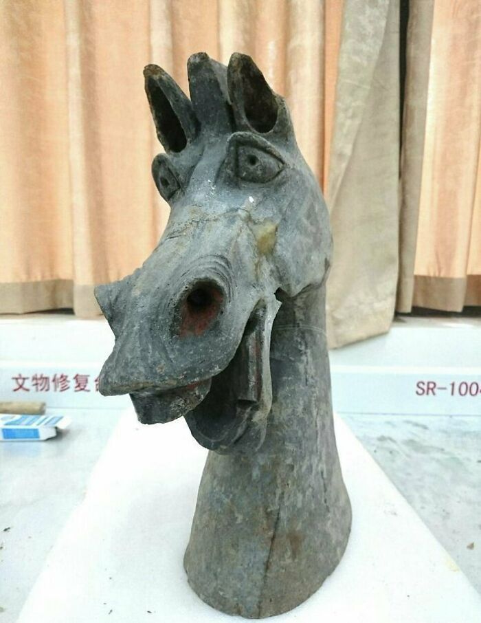 Cabeza de caballo esculpida, un hallazgo fascinante que nos permite ver al pasado lejano, ubicada sobre una mesa.