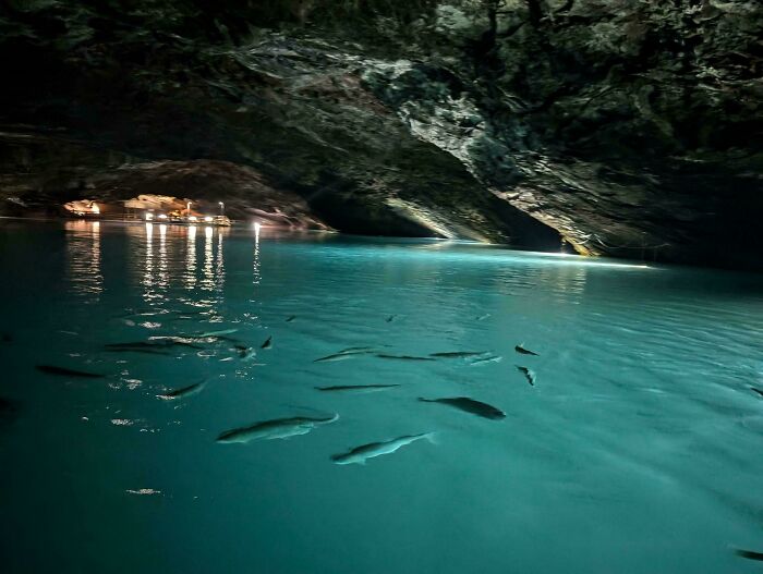 Peces nadando en aguas claras dentro de una cueva iluminada que sorprende a viajeros en otros países.