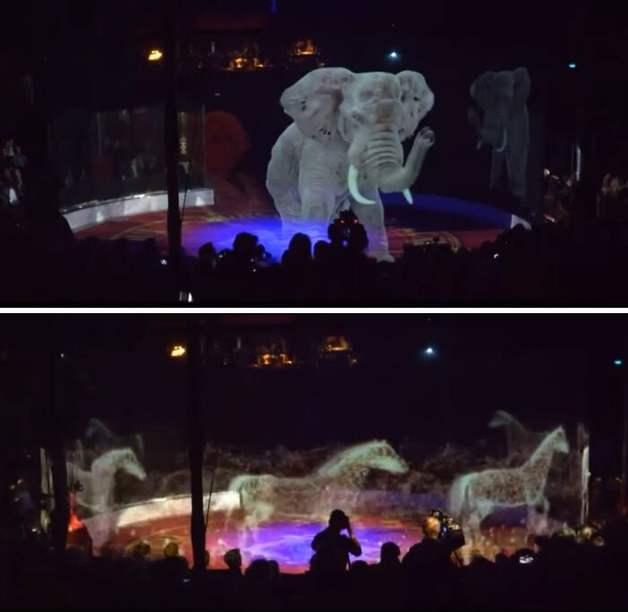 Elefante y caballos holográficos en espectáculo sorprendente que impactó a viajeros en otros países.