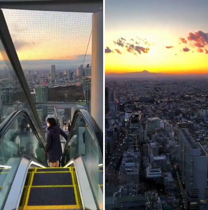 Persona bajando en escalera mecánica con vista panorámica de ciudad al atardecer, sorprendiendo a viajeros en otros países.