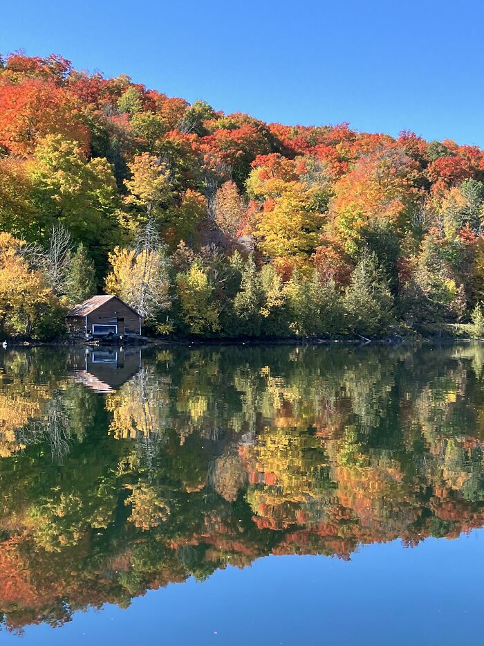 Reflejo de otoño en un lago canadiense con una cabaña y bosque de fondo.