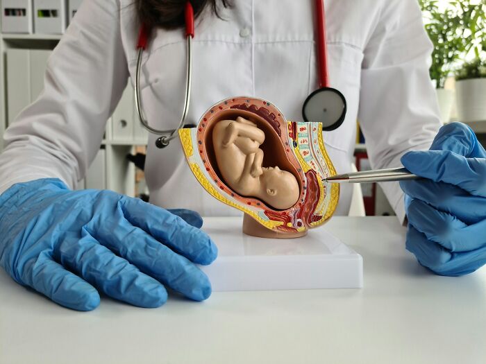 26 Datos curiosos sobre el cuerpo femenino que había que compartir