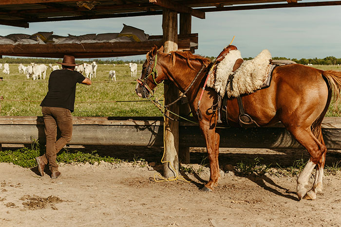 Hombre con sombrero y caballo en campo, escena rural que parece sexy en libros pero es incómoda en la vida real.