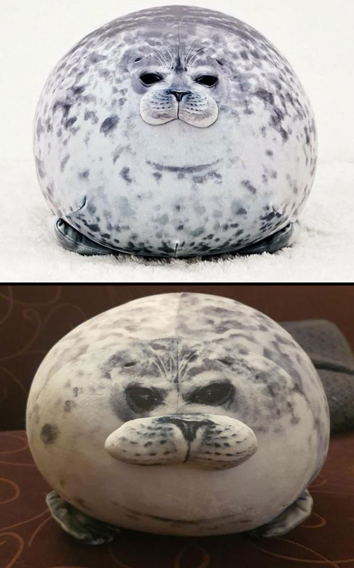 El cojín de peluche de foca que pedí y el que me llegó