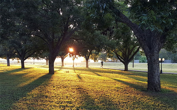 Atardecer en el parque con persona paseando entre árboles, simbolizando momentos para irse.