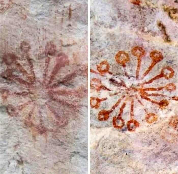 Pinturas rupestres antiguas con formas circulares sorprendentes en una pared de piedra.