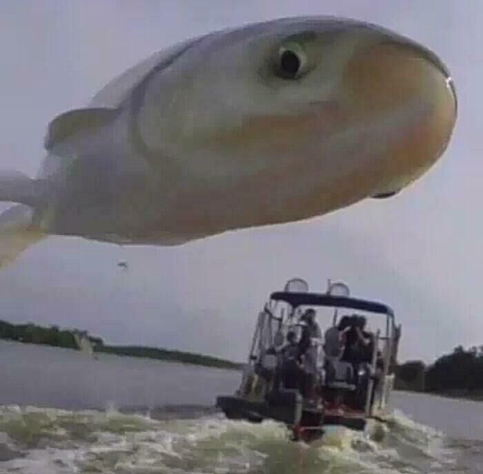 Pez gigante sobre el lago con un bote al fondo, creando una escena extrañamente aterradora.