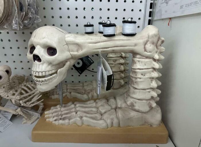 Calavera deforme en una estantería, utilizada como soporte para hilos, provocando una extraña mezcla visual.