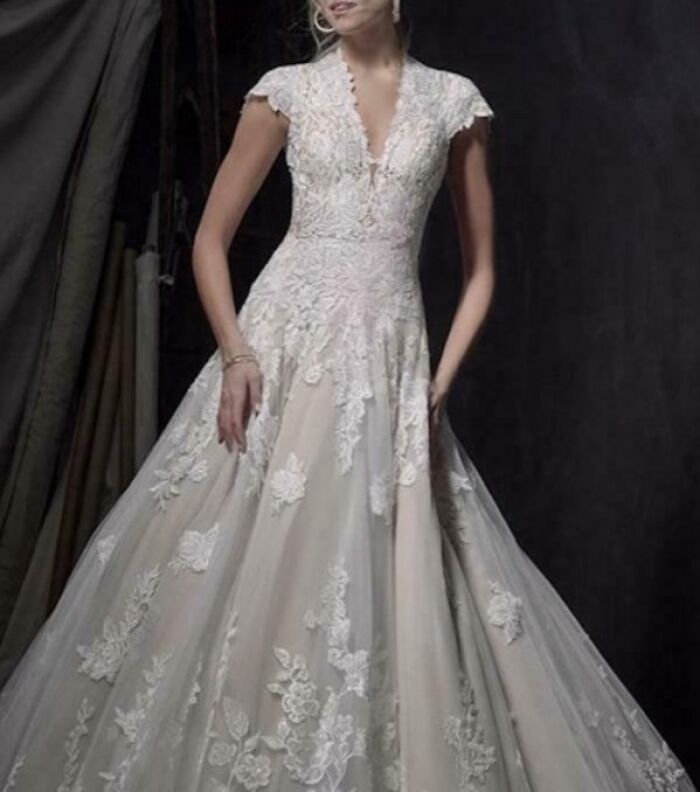 Vestido de novia elegante con detalles de encaje en una boda vergonzosa, capturada en internet.