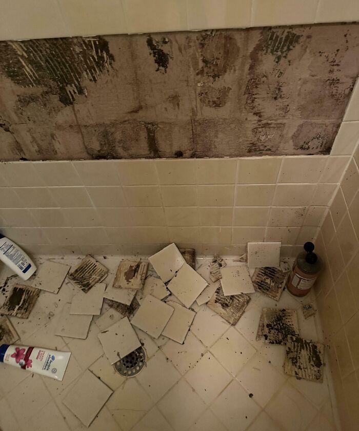 Azulejos rotos en el suelo y pared de la ducha, reflejando un costoso accidente de baño.