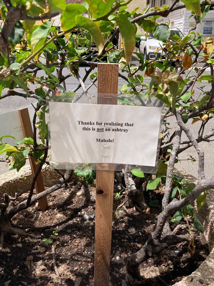 Letrero pasivo-agresivo en un jardín, agradeciendo por no usarlo como cenicero.