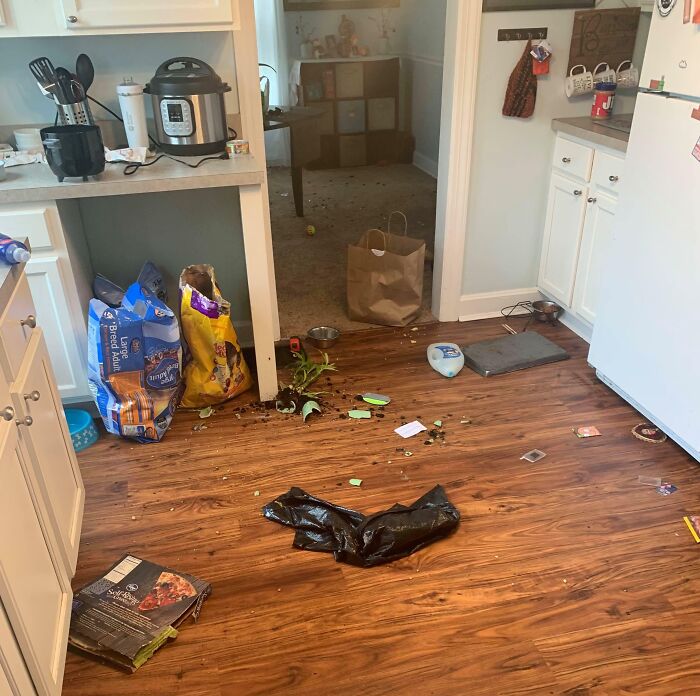 Cocina desordenada con artículos tirados por el suelo, reflejando tensiones familiares políticas insoportables.