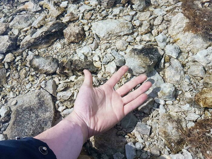 Mano sobre un suelo rocoso, creando una escena surreal, destacando la extraña realidad natural.