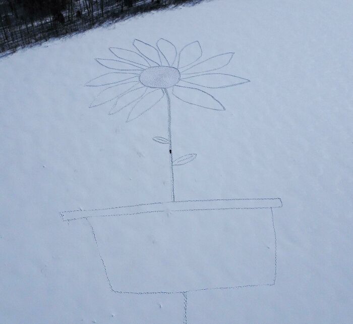 Dibujo surreal de una flor en la nieve, mostrando la imaginación en paisajes invernales.
