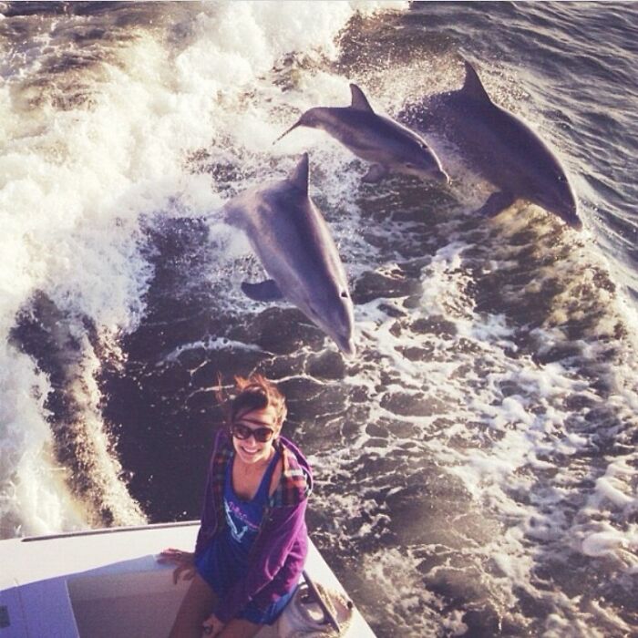 Persona sonriente en un barco mientras tres delfines saltan en el agua detrás.