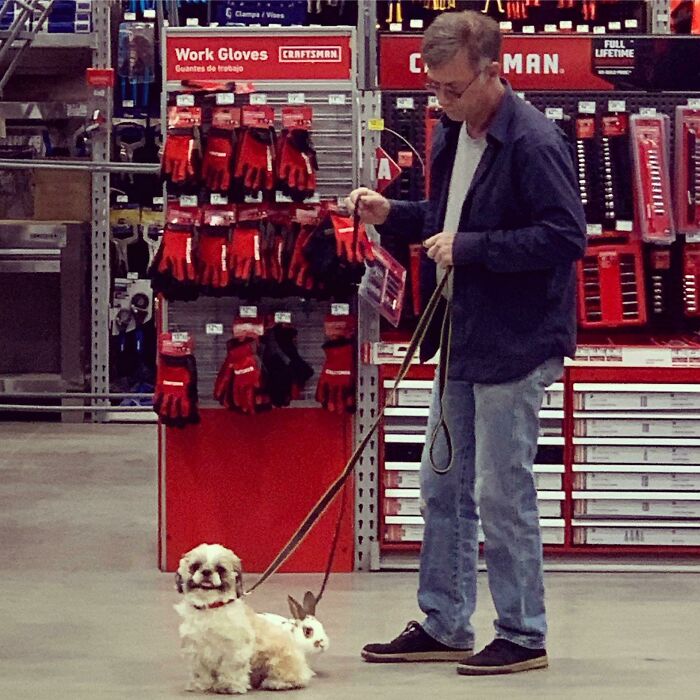 Hombre paseando perro y conejo en tienda, una de esas fotos increíbles que hay que ver para creer.