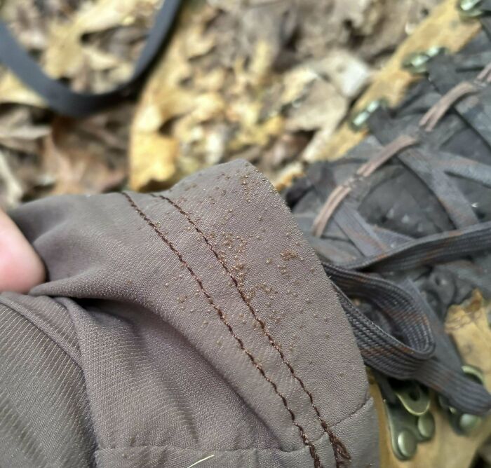 Mano sosteniendo manga con gotas de sudor frente a zapato y hojas secas, mostrando personas que seguramente estén teniendo un mal día.